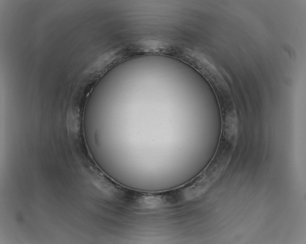 X0000112500413200908171314