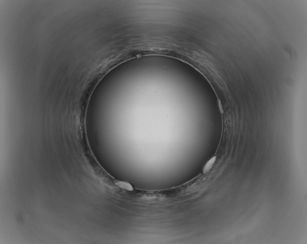 X0000112500415200908171314