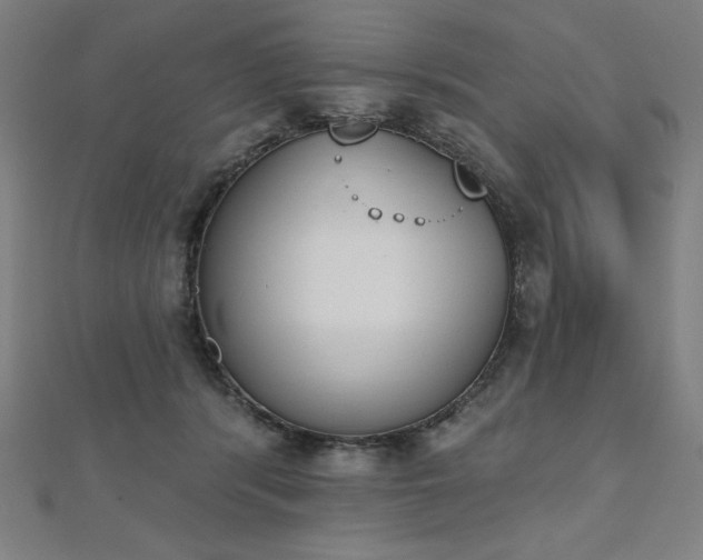 X0000112500416200908171314