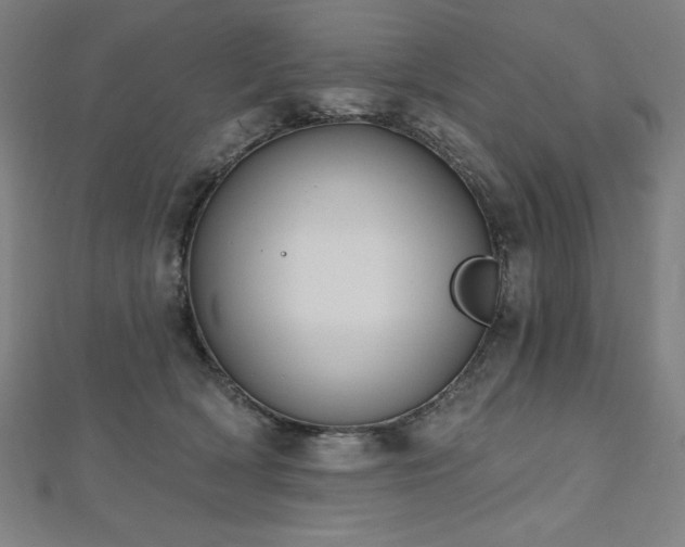 X0000112500418200908171314