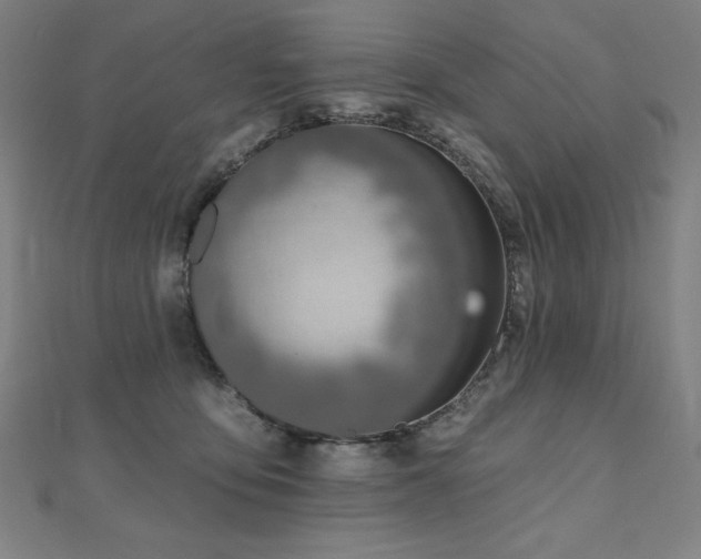 X0000112500419200908171314