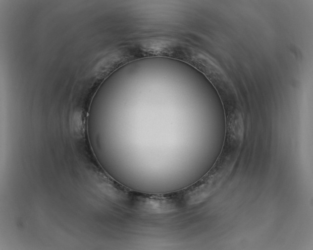 X0000112500420200908171314