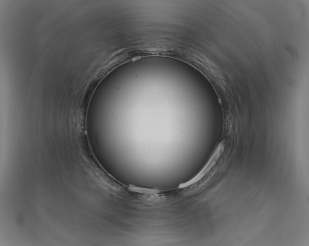 X0000112500421200908171314