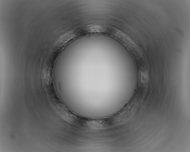 X0000112500422200908171314