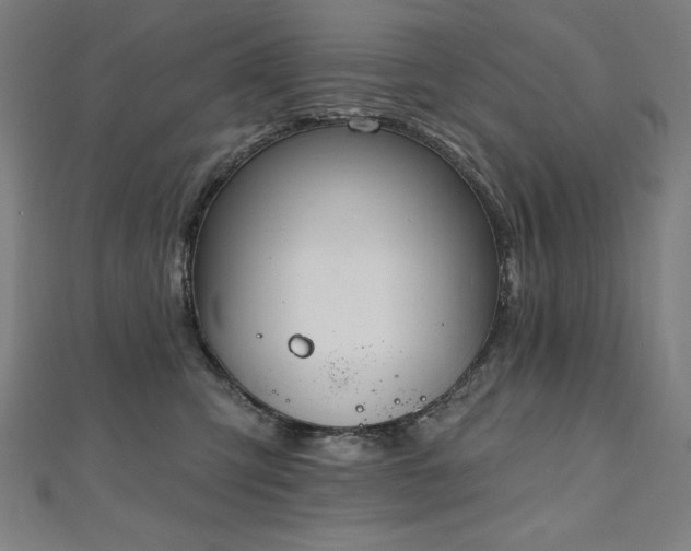 X0000112500423200908171314