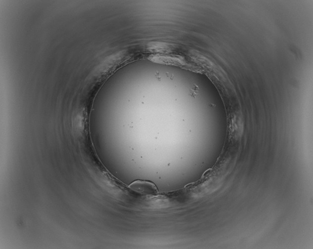 X0000112500424200908171314