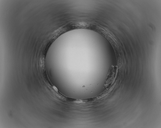 X0000112500425200908171314