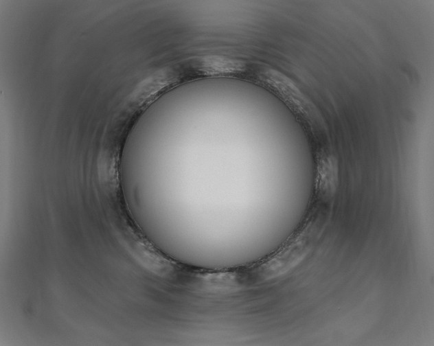 X0000112500426200908171314