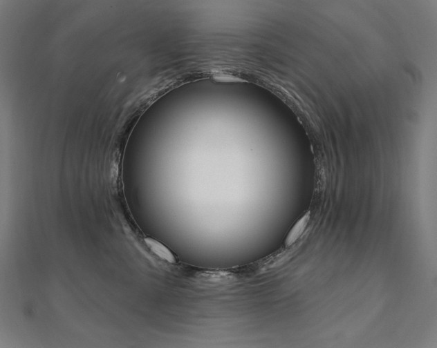 X0000112500427200908171314