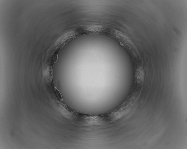 X0000112500428200908171313