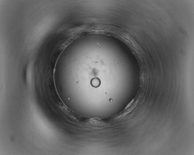 X0000112500429200908171313