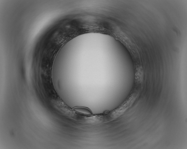 X0000112500430200908171313