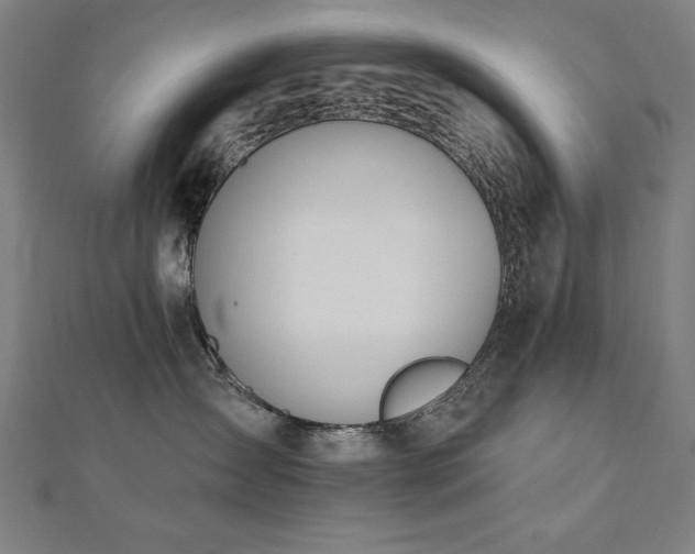 X0000112500431200908171313