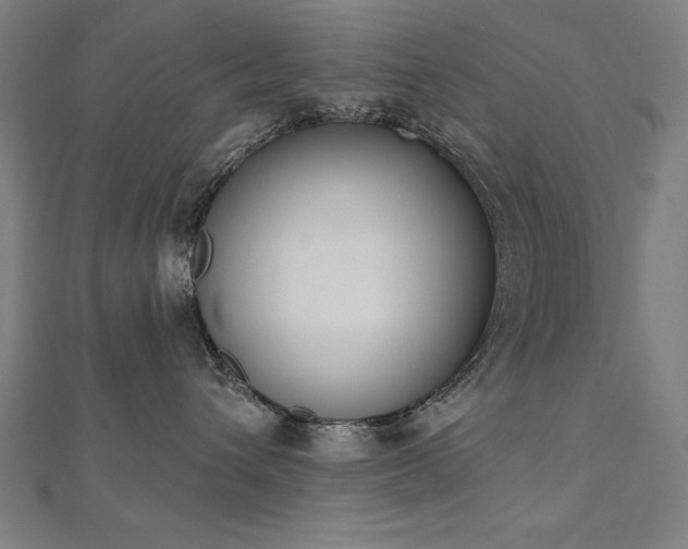 X0000112500432200908171313