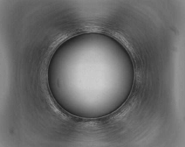 X0000112500433200908171313