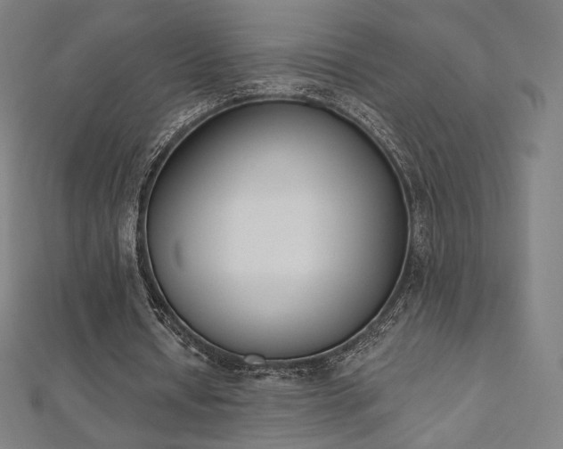 X0000112500434200908171313