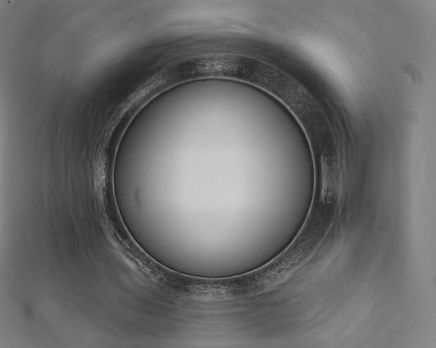 X0000112500435200908171313