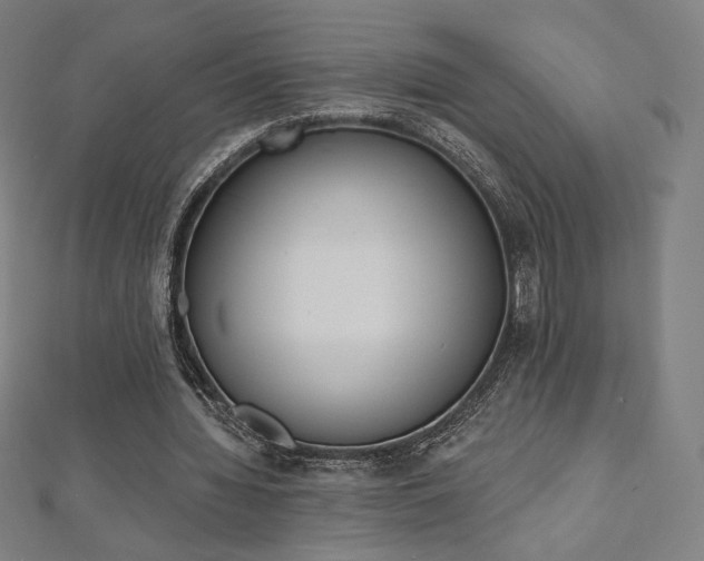 X0000112500436200908171313