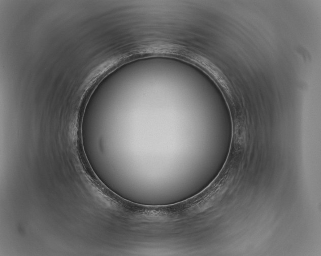 X0000112500437200908171313