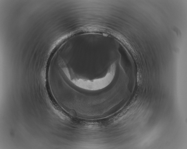 X0000112500438200908171313