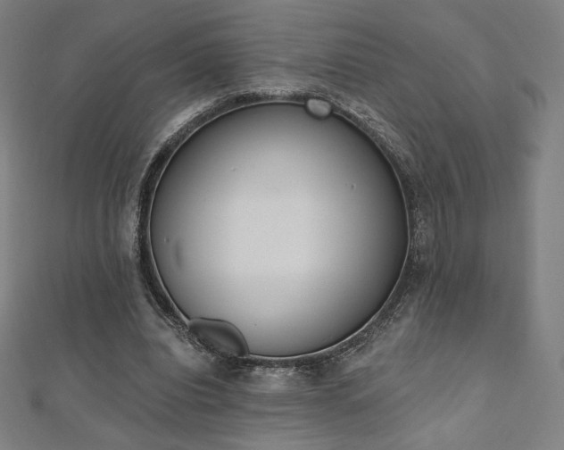 X0000112500440200908171313