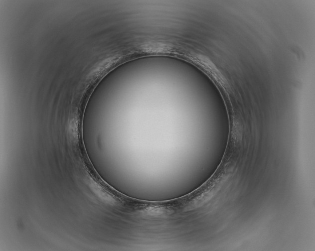 X0000112500441200908171313