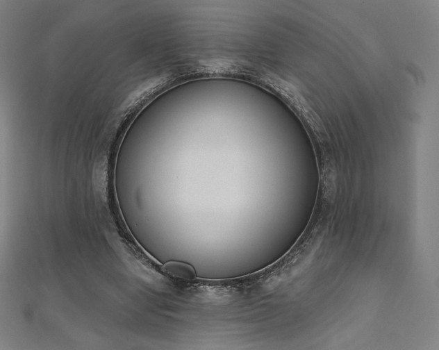 X0000112500442200908171313