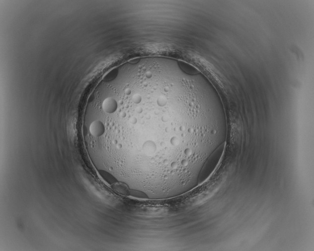 X0000112500443200908171313