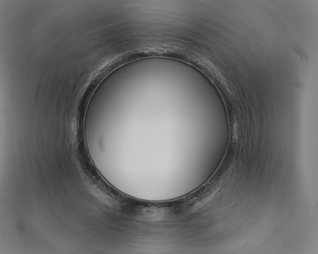 X0000112500444200908171313