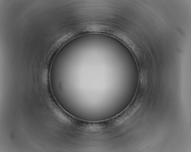 X0000112500445200908171313