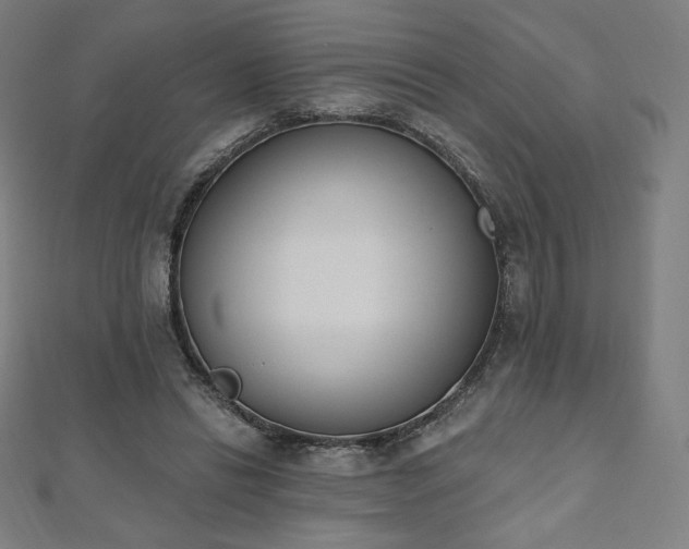 X0000112500446200908171313