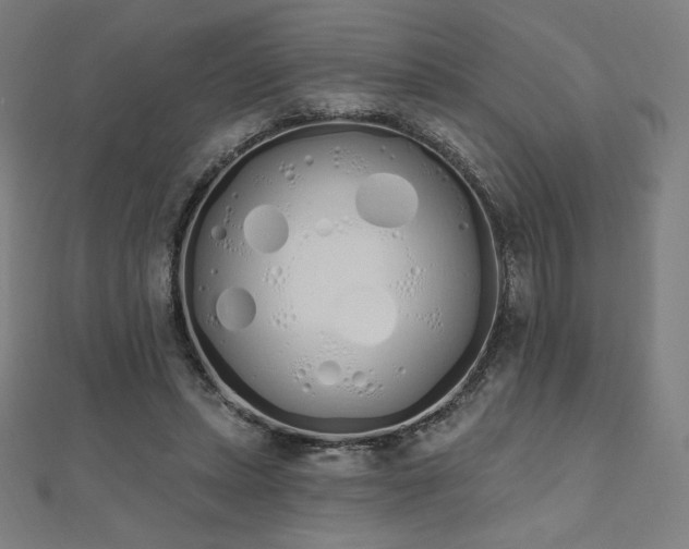 X0000112500447200908171313