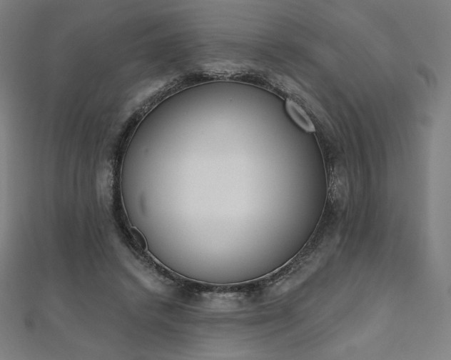 X0000112500448200908171313