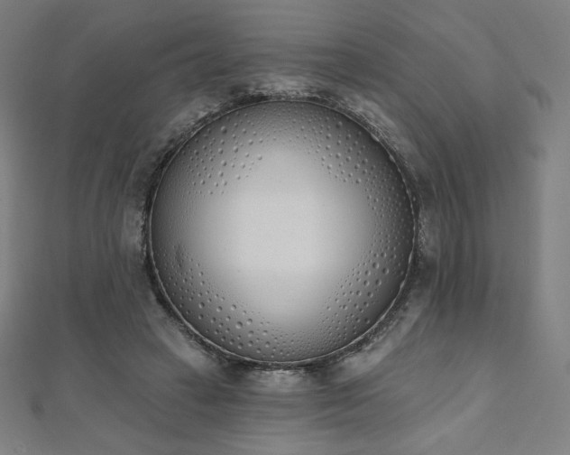 X0000112500449200908171313