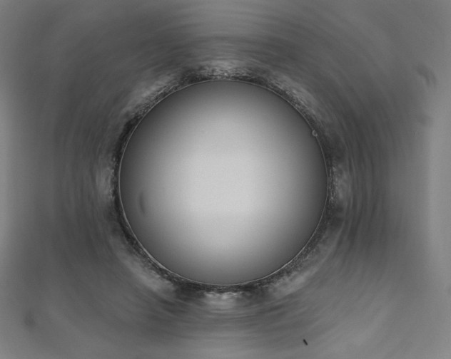 X0000112500450200908171313