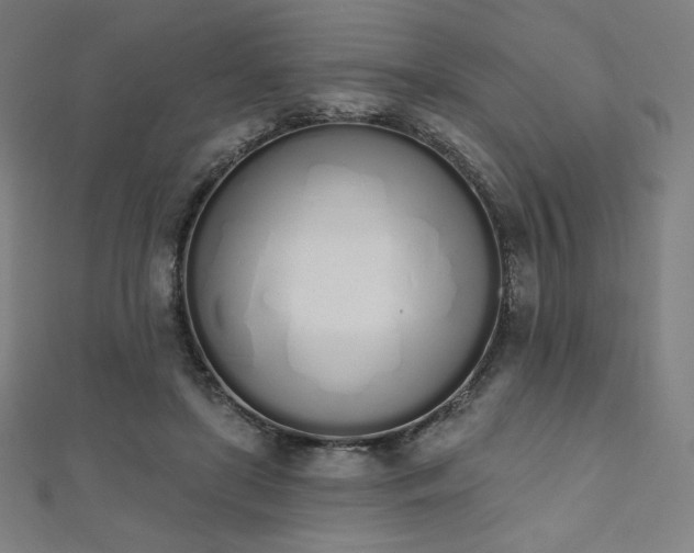 X0000112500451200908171313