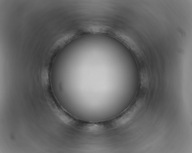 X0000112500453200908171313