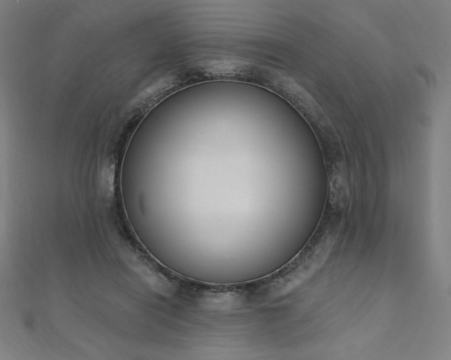 X0000112500454200908171313