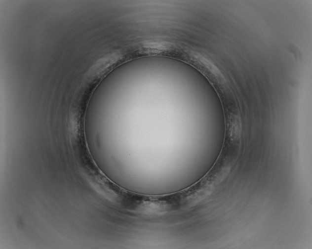 X0000112500455200908171313