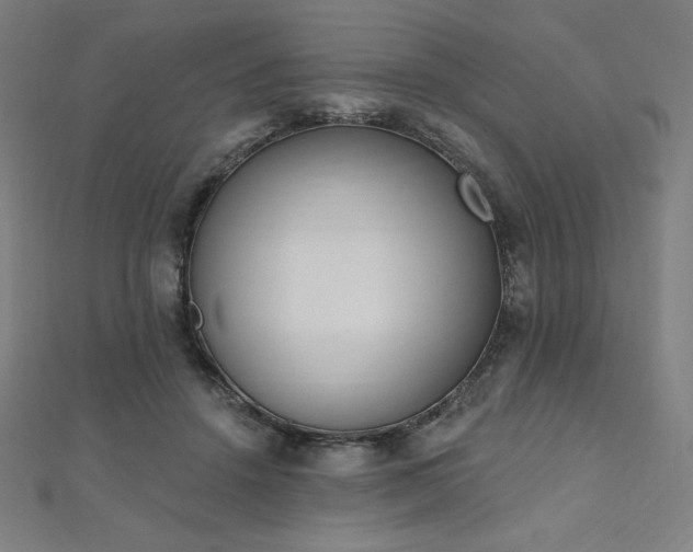 X0000112500456200908171313