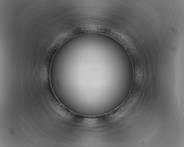 X0000112500457200908171313