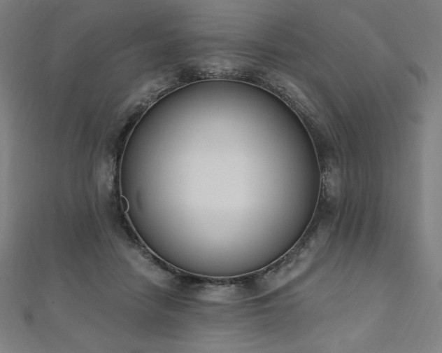 X0000112500458200908171313