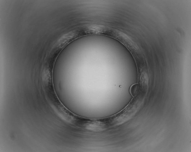 X0000112500459200908171313