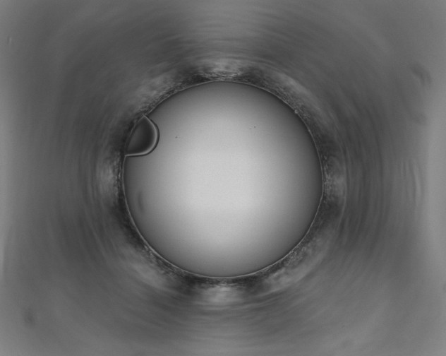 X0000112500460200908171313