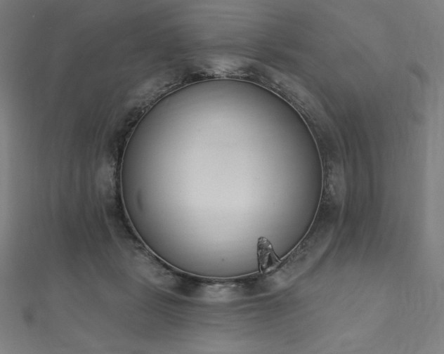 X0000112500461200908171313