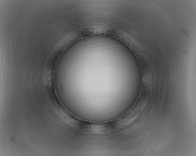 X0000112500462200908171313