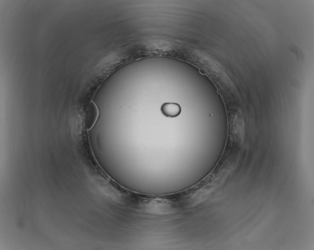 X0000112500463200908171313