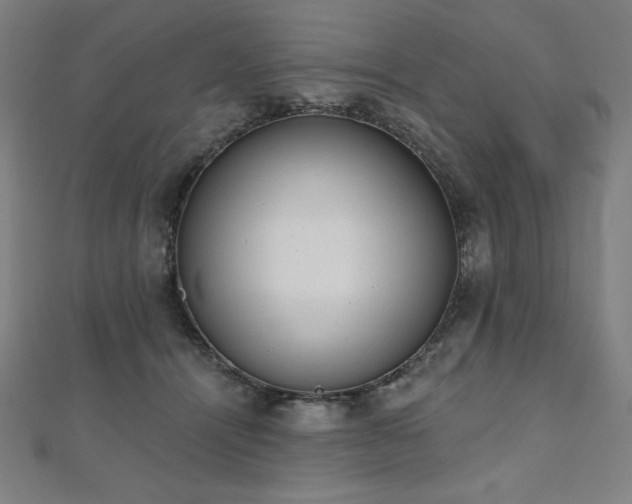 X0000112500464200908171313