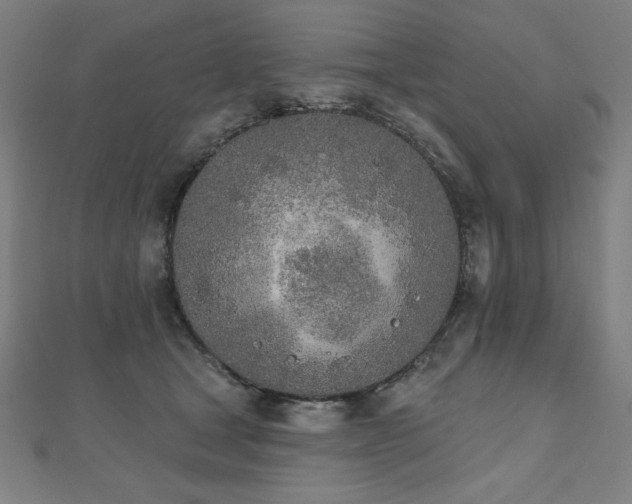 X0000112500465200908171313