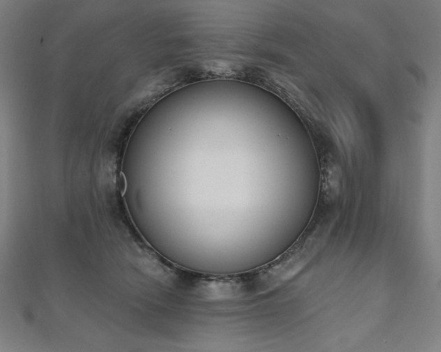 X0000112500466200908171313